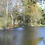 Schwarzwaldhäuser 7 *