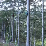 Schwarzwaldhaeuser 7 아파트 Schönwalde