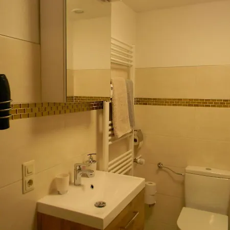 Schwarzwaldhaeuser 7