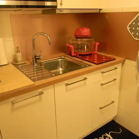 Schwarzwaldhäuser 7 Apartment