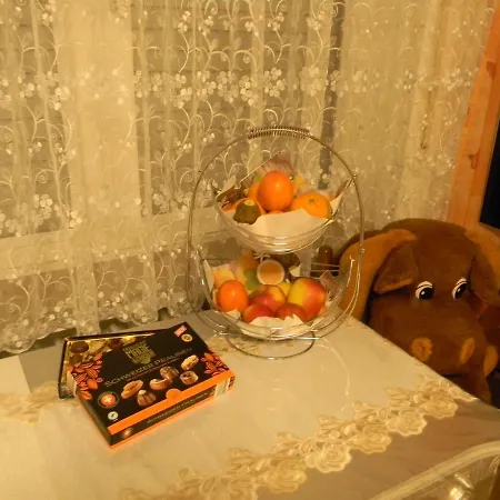 Schwarzwaldhäuser 7 Apartment