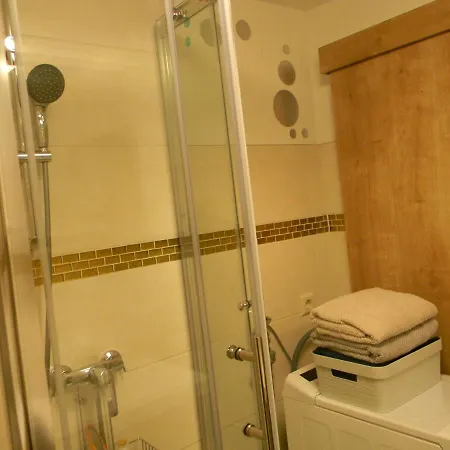 Schwarzwaldhäuser 7 Apartment *