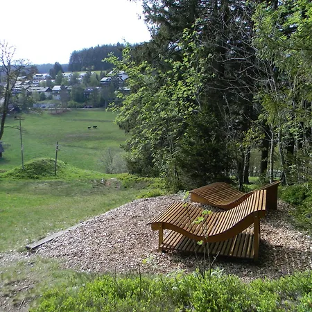 Schwarzwaldhäuser 7