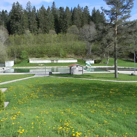 Schwarzwaldhäuser 7 Apartment