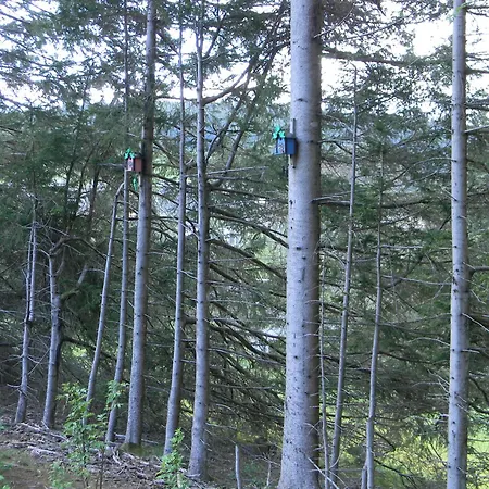 Schwarzwaldhaeuser 7 شقة Schönwalde